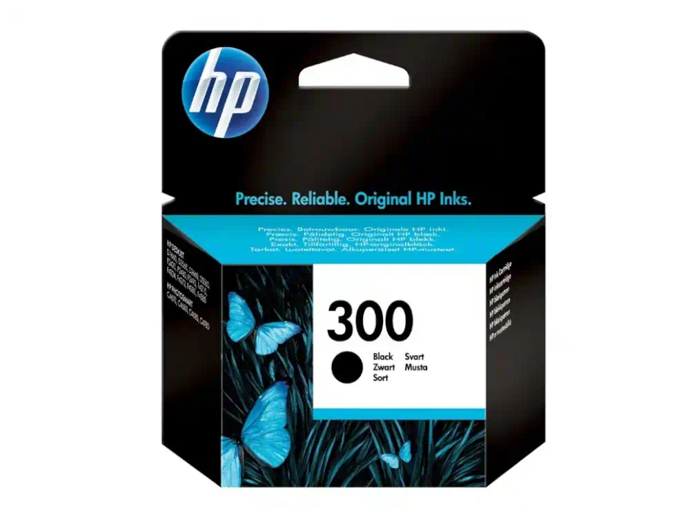 HP Μελάνι Inkjet No.300 Black (CC640EE)